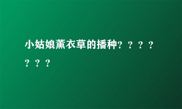 小姑娘薰衣草的播种???????