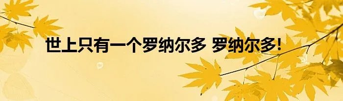世上只有一个罗纳尔多 罗纳尔多!