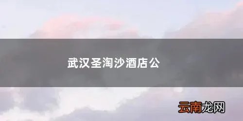 武汉圣淘沙酒店公寓租房怎么样 武汉圣淘沙酒店公寓