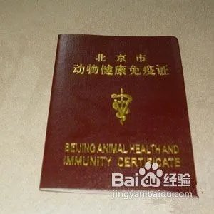 北京宠物空运
