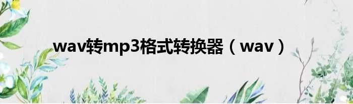 wav转mp3格式转换器（wav）