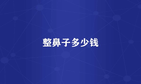 整鼻子多少钱