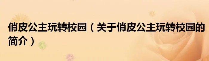 俏皮公主玩转校园（关于俏皮公主玩转校园的简介）