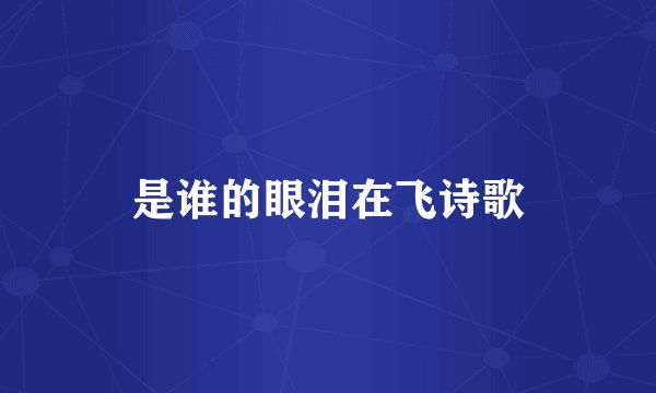 是谁的眼泪在飞诗歌