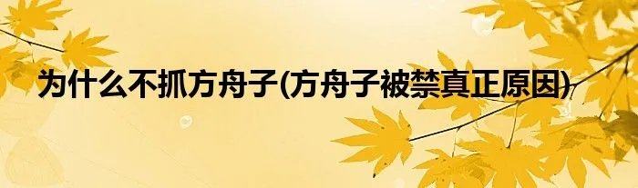 为什么不抓方舟子(方舟子被禁真正原因)