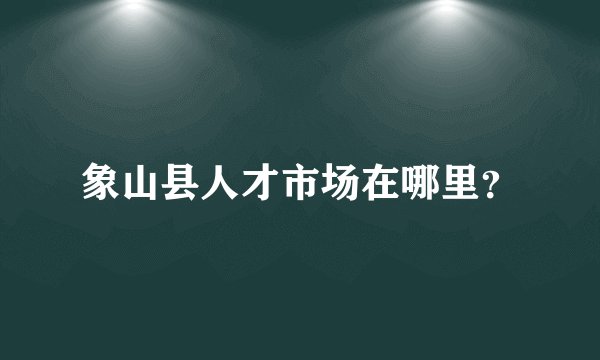 象山县人才市场在哪里？