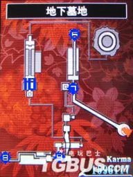 NDS《忍者龙剑传：龙剑》图文流程攻略