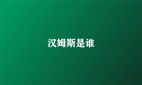 汉姆斯是谁