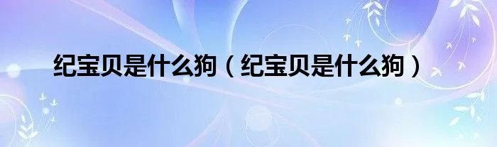 纪宝贝是什么狗（纪宝贝是什么狗）