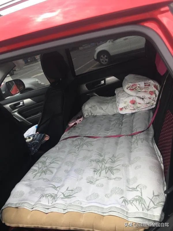 房车旅行可以带猫吗?为什么?