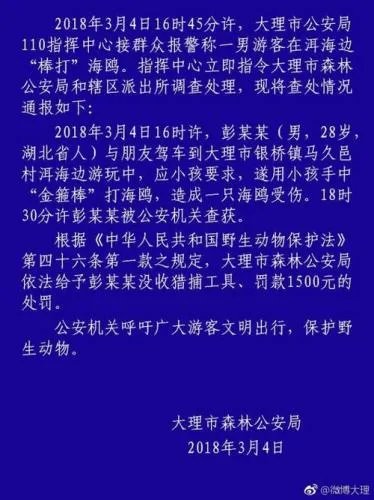 游客在大理洱海边棒打红嘴鹤被拘了吗？
