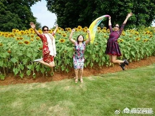 阿姨们照相带7条丝巾挪10次地方,丝巾墨镜成妈妈拍照必备,你的妈妈爱拍丝巾照吗?