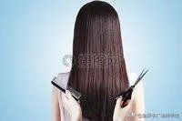 过年了,做什么生意赚钱?