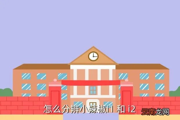 小辣椒i2,怎么分辨小辣椒i1 和 i2