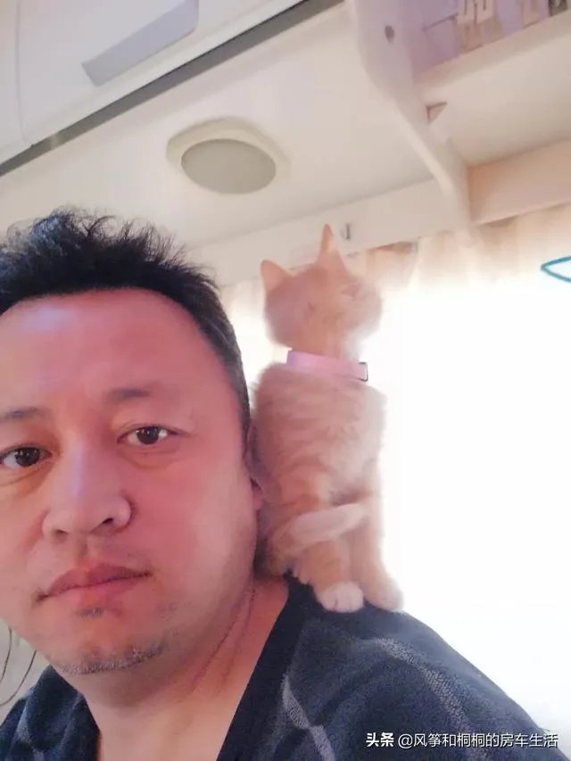 房车旅行可以带猫吗?为什么?