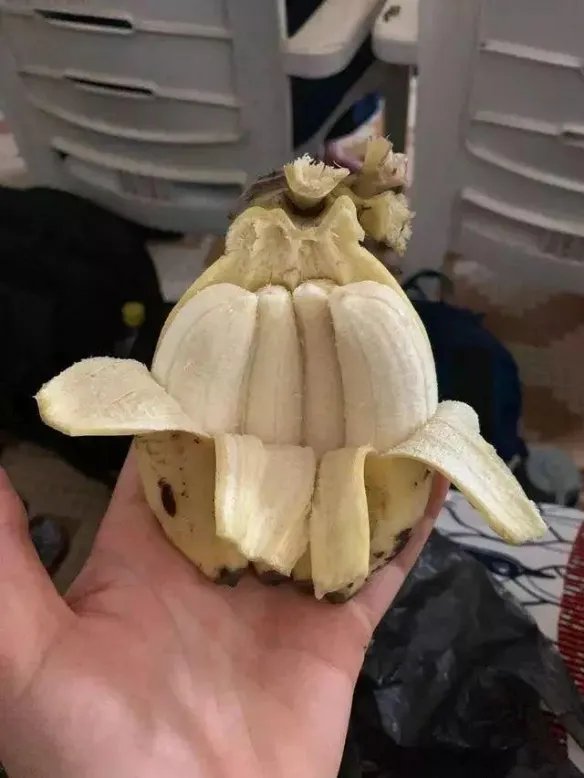 热带雨林惊现鲸鱼尸骨!27张千年一遇的神奇巧合照片