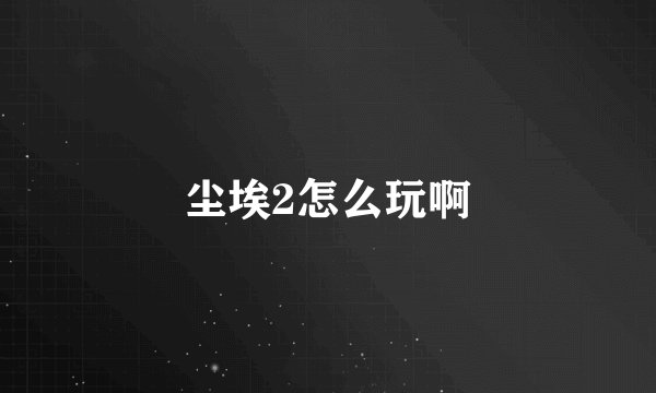 尘埃2怎么玩啊