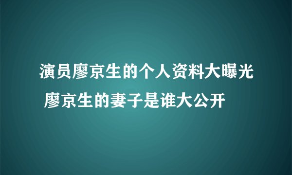 演员廖京生的个人资料大曝光 廖京生的妻子是谁大公开