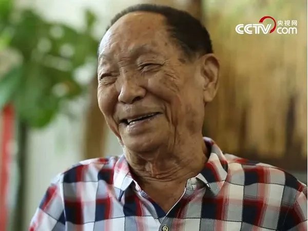 袁隆平宣布了一个什么重大成果？