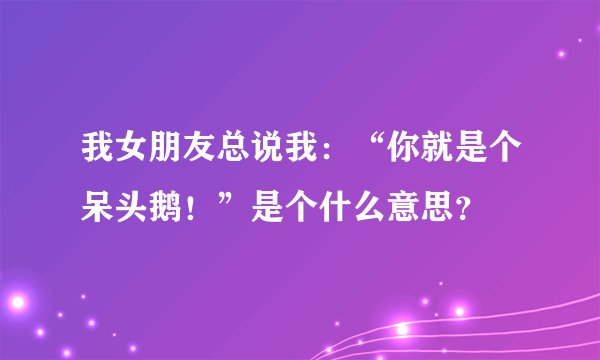 我女朋友总说我：“你就是个呆头鹅！”是个什么意思？