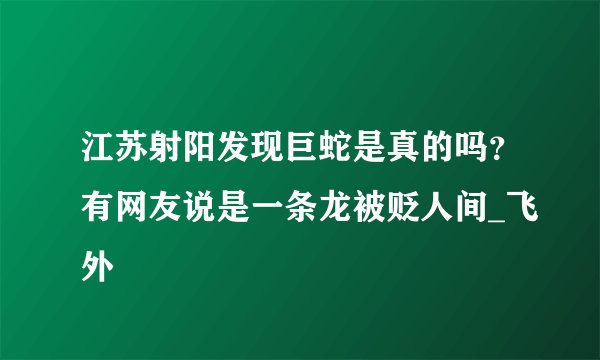 江苏射阳发现巨蛇是真的吗?有网友说是一条龙被贬人间_飞外