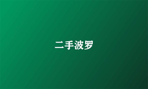 二手波罗