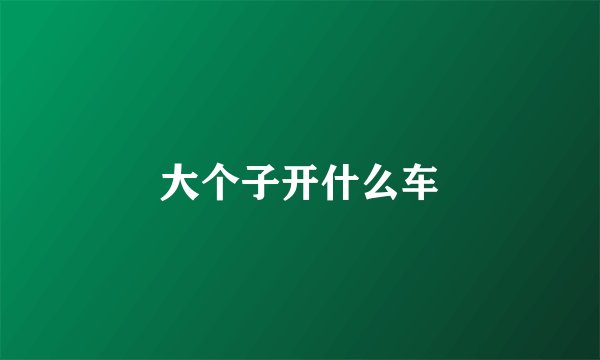 大个子开什么车