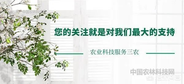 甘孜州丹巴县的特产是什么```?