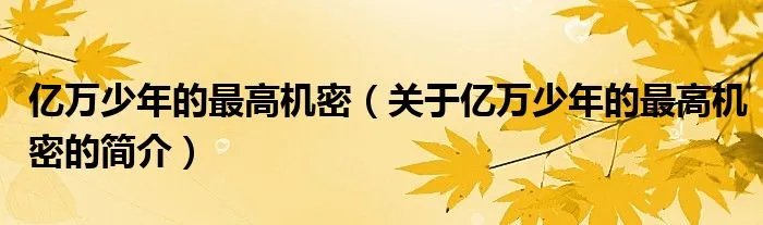 亿万少年的最高机密（关于亿万少年的最高机密的简介）