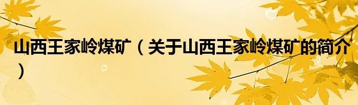 山西王家岭煤矿（关于山西王家岭煤矿的简介）