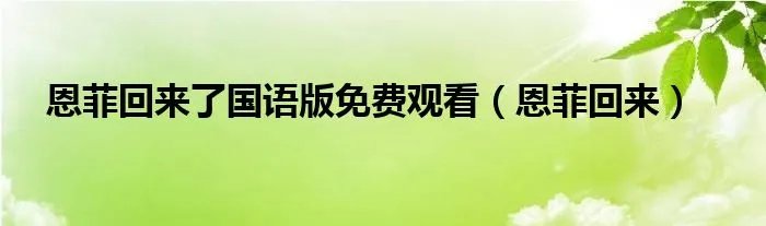 恩菲回来了国语版免费观看（恩菲回来）