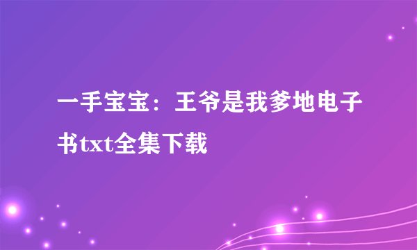 一手宝宝：王爷是我爹地电子书txt全集下载