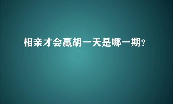 相亲才会赢胡一天是哪一期？