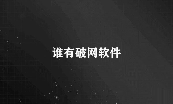 谁有破网软件