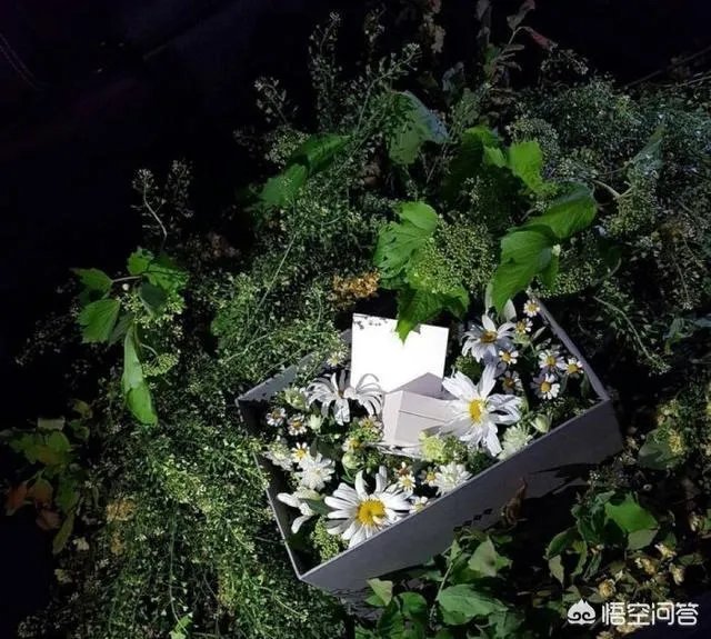 如何看待安宰贤具善惠这对金童玉女离婚?