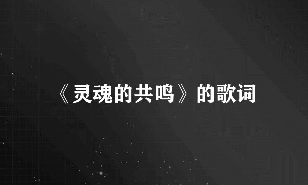 《灵魂的共鸣》的歌词