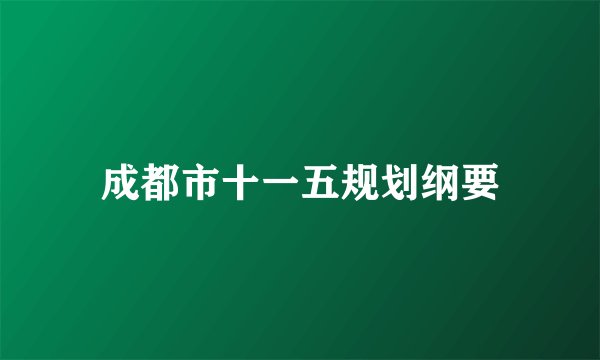 成都市十一五规划纲要