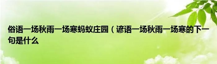 俗语一场秋雨一场寒蚂蚁庄园（谚语一场秋雨一场寒的下一句是什么