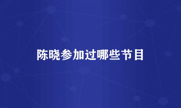 陈晓参加过哪些节目