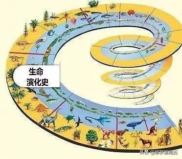 地球演化中有哪些超乎人想象的现象?
