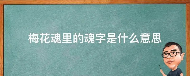 梅花魂里的魂字是什么意思