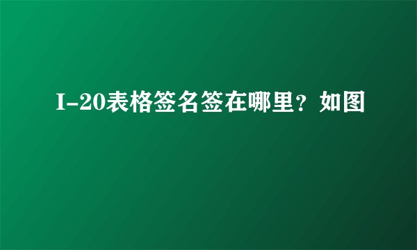I-20表格签名签在哪里？如图
