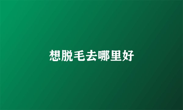 想脱毛去哪里好