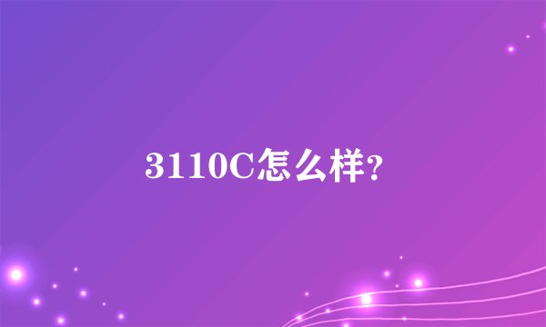 3110C怎么样?