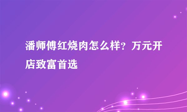潘师傅红烧肉怎么样？万元开店致富首选