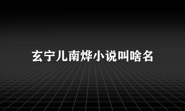 玄宁儿南烨小说叫啥名