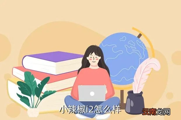 小辣椒i2,怎么分辨小辣椒i1 和 i2
