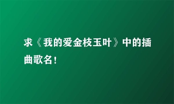 求《我的爱金枝玉叶》中的插曲歌名！