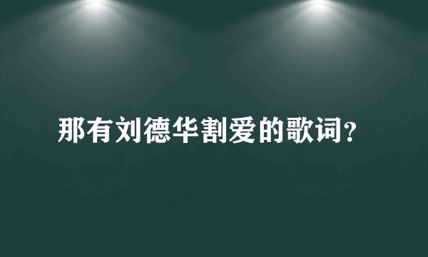 那有刘德华割爱的歌词？