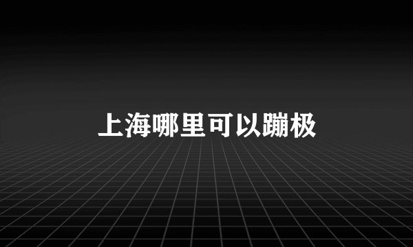 上海哪里可以蹦极
